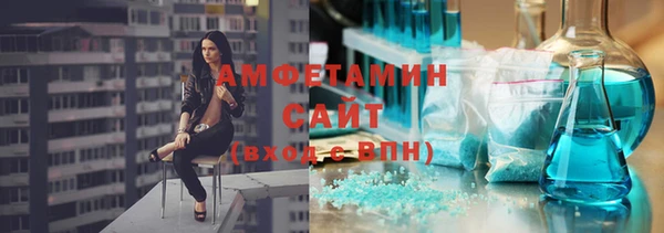 прущие грибы Михайлов