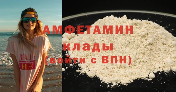 прущие грибы Михайлов