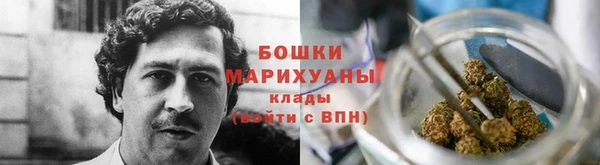 прущие грибы Михайлов