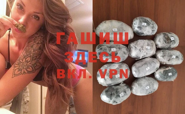 прущие грибы Абинск