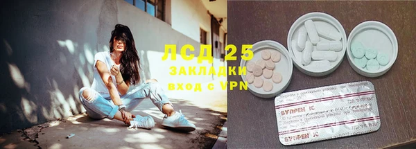 ПСИЛОЦИБИНОВЫЕ ГРИБЫ Абаза