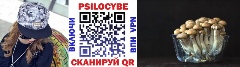Псилоцибиновые грибы ЛСД  Апшеронск 